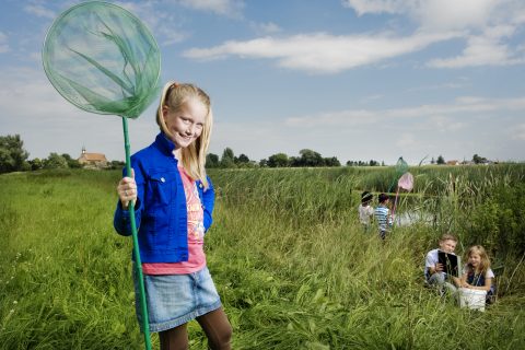 Afbeelding bij Profilering OBS Hiliglo